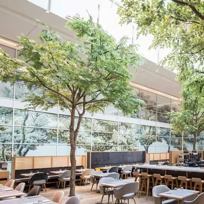 Árboles artificiales del paisaje de la planta de Ficus