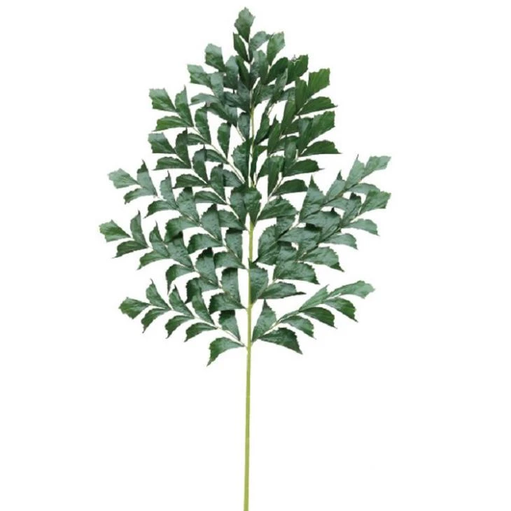 Artificial Fishtail Palm Tree